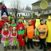 Faschingszug 2017