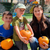 Kürbiswettbewerb 2024