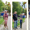 Sonnenblumenwettbewerb 2026