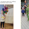 Sonnenblumenwettbewerb 2026