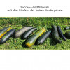 Zucchiniwettbewerb 2025